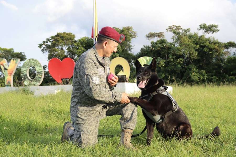 Técnico Primero Galo